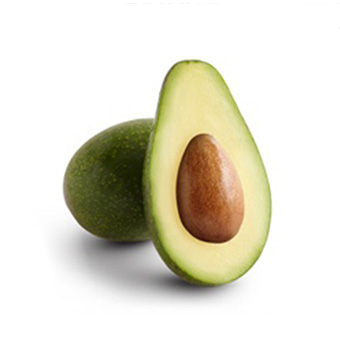 Zutano Avocado